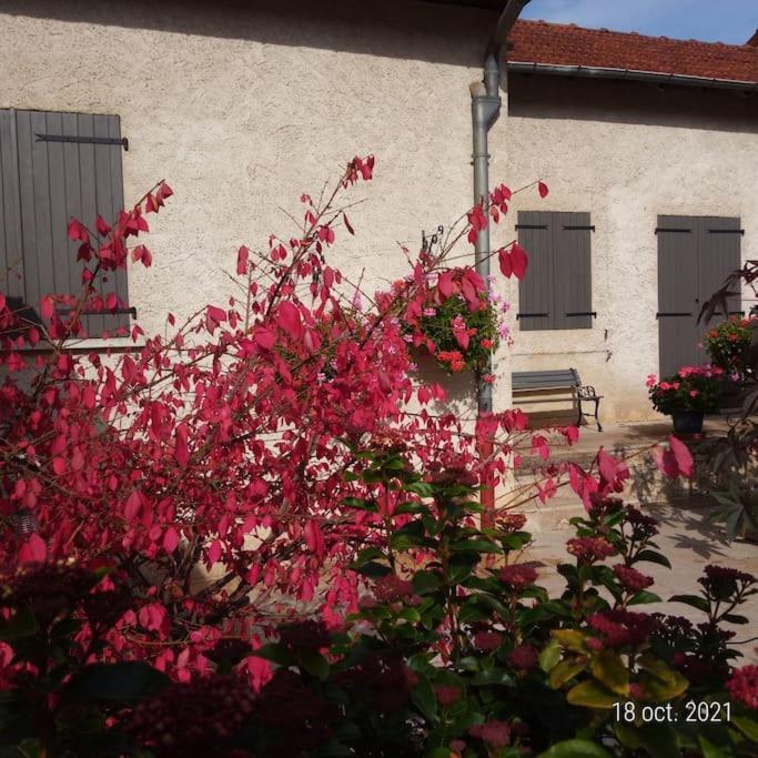 Maison Aux Portes Du Centre Historique De Dijon Avec 3 Chambres Et Garage ภายนอก รูปภาพ